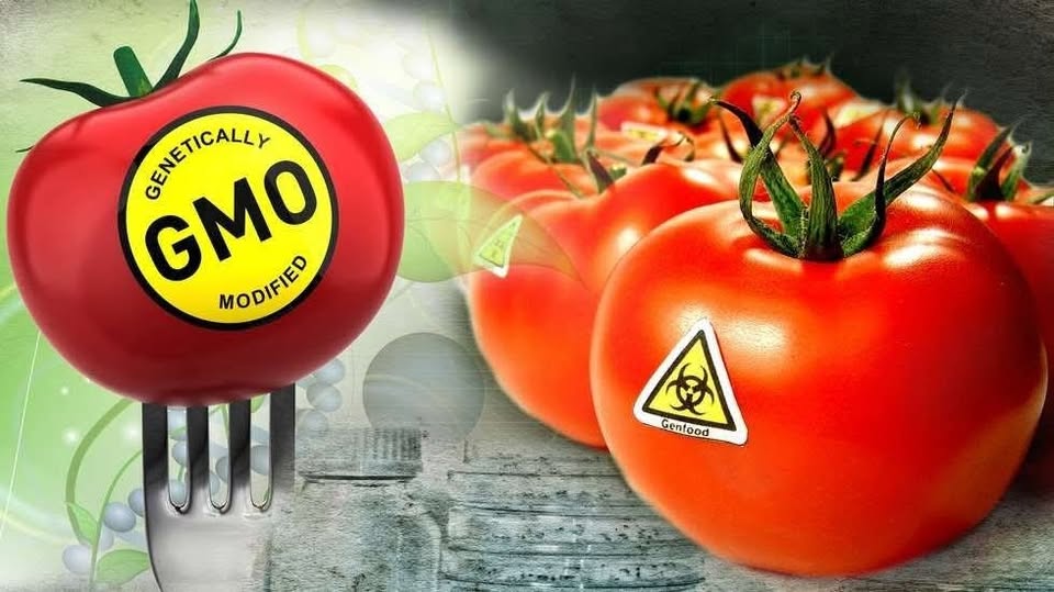 Kto kontroluje żywność, kontroluje ludzi. Nowy wymiar głodu