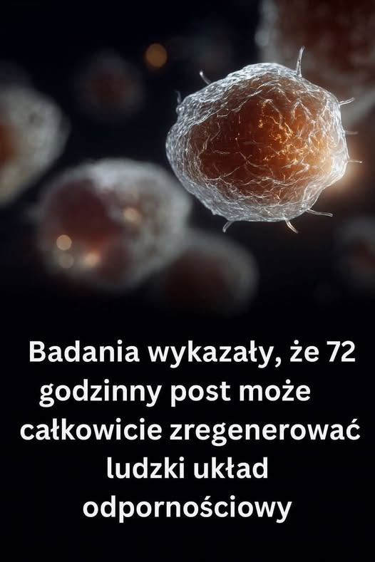 72-godzinny post regeneruje układ odpornościowy