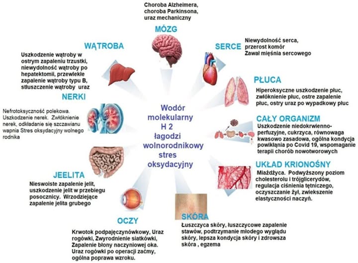 Potencjał Wodoru Molekularnego w Medycynie Mitochondriów
